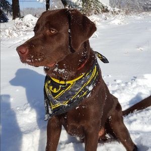 Meet your Posher, Mindy